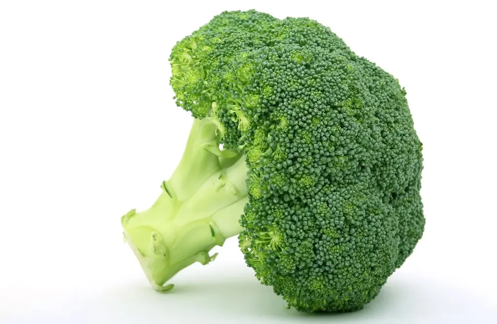 Brócoli 1UN