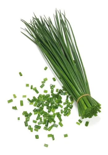 Ciboulette 20g