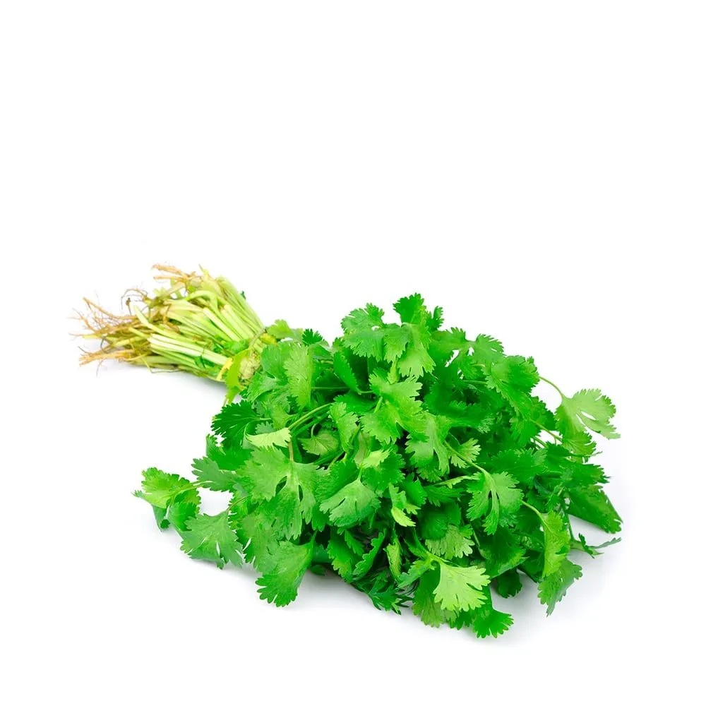 Cilantro 200g