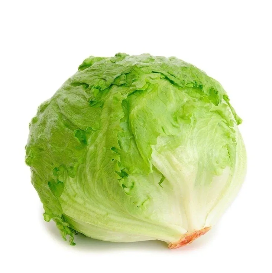 Lechuga Escarola 1UN