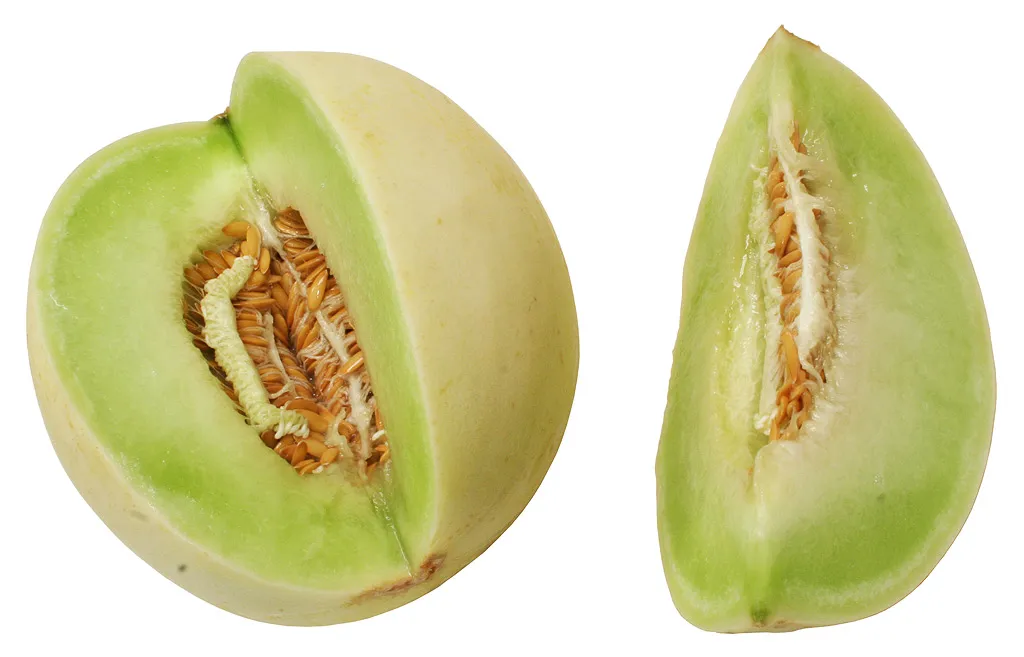 Melón Tuna 1UN