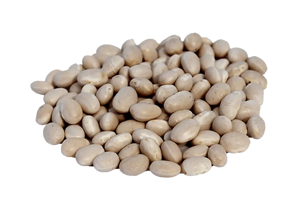 Poroto Tórtola 1Kg